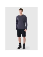 Pánske trekingové šortky 4Way Stretch 4F 4FWSS25TFSHM0877-20S