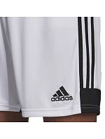 Šortky adidas Tastigo 19 M DP3247
