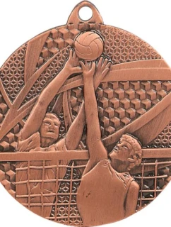 bronzová medaila - volejbal