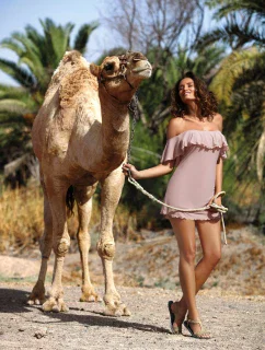 Juliet Taupe tunika M-461 (4) - Marko