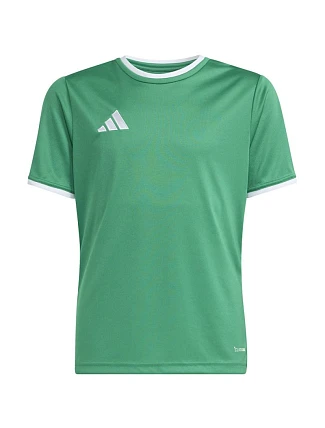 Detské tričko Adidas Entrada 26 Jersey Green JZ2528