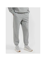 Pánske tepláky typu jogger 4F 4FRMM00TTROM1625-27M Pánske tepláky typu jogger 4F 4FRMM00TTROM1625-27M