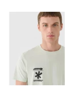 Pánske tričko s potlačou 4F 4FRAW24TTSHM2603-47S