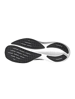 Topánky Mizuno Wave Rider 29