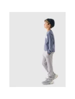 Chlapčenské tepláky 4F Junior 4FJRAW24TTROM1175-25S