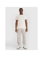 Pánske tričko s potlačou 4F 4FWSS25TTSHM1980-11S