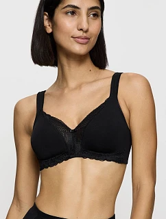 Soft model 229998 Triumph