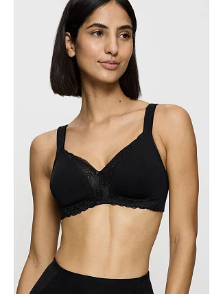 Soft model 229998 Triumph