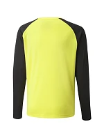 Brankárska mikina Puma teamPacer GK LS Jersey Jr 704939 42
