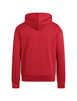 Pánska mikina adidas Essentials Feelcozy Hoodie red KC0907 pánska Pánska mikina adidas Essentials Feelcozy Hoodie red KC0907 pánska