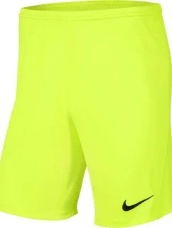 Pánska obuv Dry Park III NB K M BV6855 702 - Nike