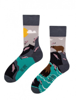Ponožky pánske Medveď a Rybky viacfarebná - spox Sox