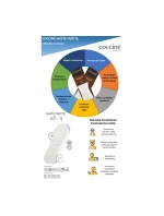 Wkładki Coccine White Frotte bawełniana na lateksowej piance 34-41