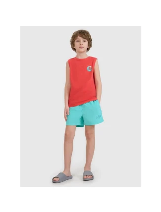 Chlapčenské plážové šortky boardshorts 4F 4FJWSS25UBDSM117-47S