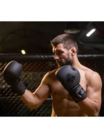 Boxerské rukavice 10oz - Black Master - Valor Series