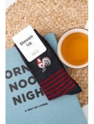 Pánske ponožky FOLK 118