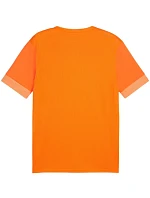 Puma teamGoal Matchday Jersey M 705747 08 muži Puma teamGoal Matchday Jersey M 705747 08 muži