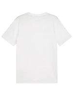 Puma Team Goal Casuals Tee M 658615 04 Pánske