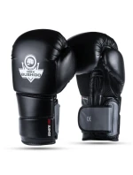 Boxerské rukavice 10oz - Eclipse - Origin Series Boxerské rukavice 10oz - Eclipse - Origin Series