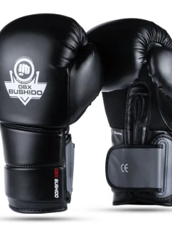 Boxerské rukavice 10oz - Eclipse - Origin Series