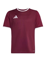 Detský dres adidas Entrada 26 Jersey burgundy JZ2530