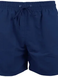 Pánske plavecké šortky M 300/400 - Crowell