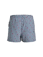 Jack&Jones pánske plavky JWHARUBA SWIM PRINTS SHORTS 12206537 NAVY BLAZER STRIPES Jack&Jones pánske plavky JWHARUBA SWIM PRINTS SHORTS 12206537 NAVY BLAZER STRIPES