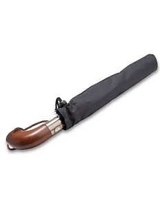 Slnečník RP231
