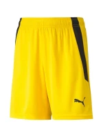 Puma teamLIGA Šortky Jr 704931 07 Puma teamLIGA Šortky Jr 704931 07