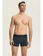 Súprava model 226601 Henderson