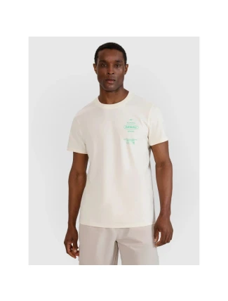 Pánske tričko s potlačou 4F 4FRSS25TTSHM2688-11S