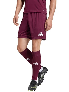 Pánske šortky adidas Entrada 26 burgundy JZ2514