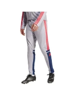 Nohavice adidas Squadra 25 Training M JP3372