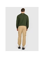 Pánske nohavice na voľný čas 4F 4FRAW25TTROM1690-83S