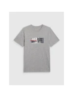 Pánske tričko s potlačou 4F 4FRAW25TTSHM3364-27M