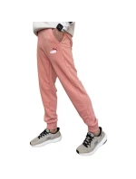 Puma Ess+ 2 Col Logo nohavice M 586768 62