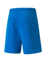 SPORT Pánske krátke nohavice teamRISE 704942 02 Light blue - Puma