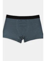 PÁNSKE BOXERKY PREMIUM BB005 PÁNSKE BOXERKY PREMIUM BB005