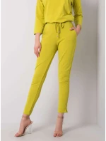 Tepláky RV DR 5222.59 svetlo zelená