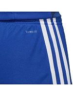 Pánske šortky Tastigo 19 M DP3682 - Adidas