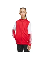Mikina adidas Squadra 25 Hoodie Jr JD4801