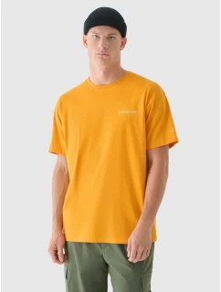 Pánske tričko oversize s potlačou 4F 4FRAW24TTSHM2578-70S