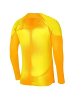 Pánsky brankársky dres Gardien IV JSY M DH7967 719 - Nike