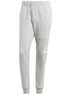 Tepláky adidas Big Logo Fleece M IJ6482