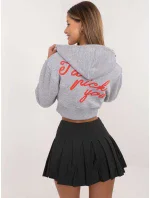 Mikina CLM BL 1331.02P sivá