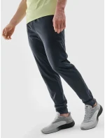 Pánske športové nohavice 4F