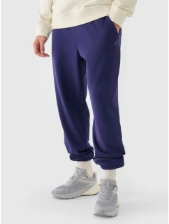 Pánske tepláky typu jogger 4F 4FWMM00TTROM1139-31S
