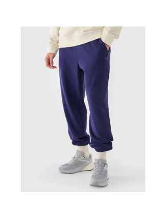 Pánske tepláky typu jogger 4F 4FWMM00TTROM1139-31S