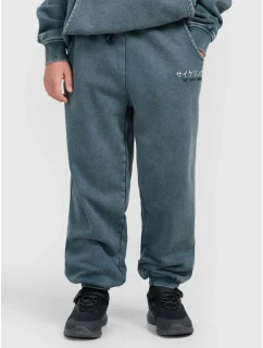 Chlapčenské tepláky 4F 4FJRAW25TTROM1528-46S