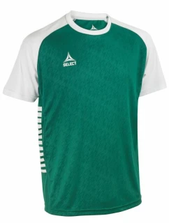Vyberte si futbalové tričko Pisa X zeleno-biele